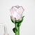 6" Rose Rig with diffuser_3