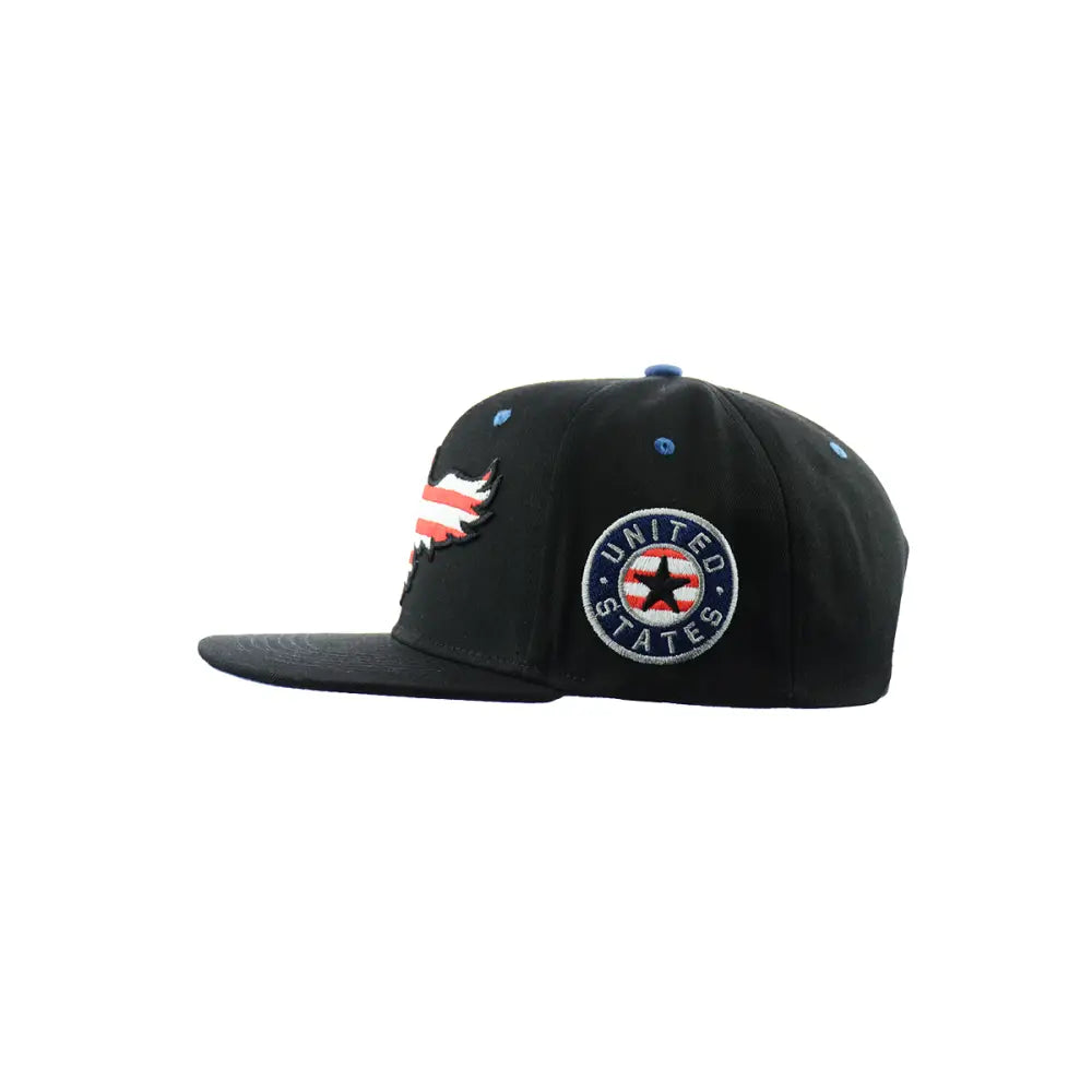 Amrican Eagle Hat Embroidered Snapback Hat