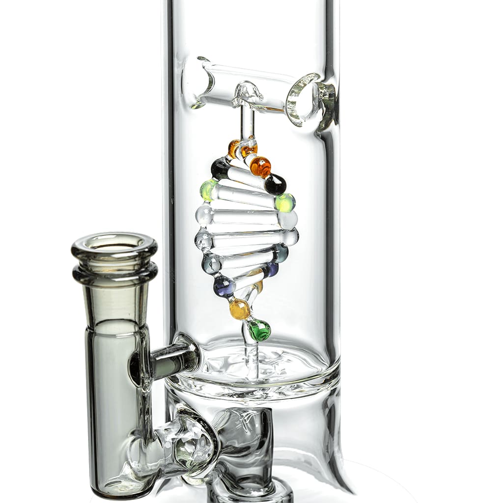 Dna Dab Rig